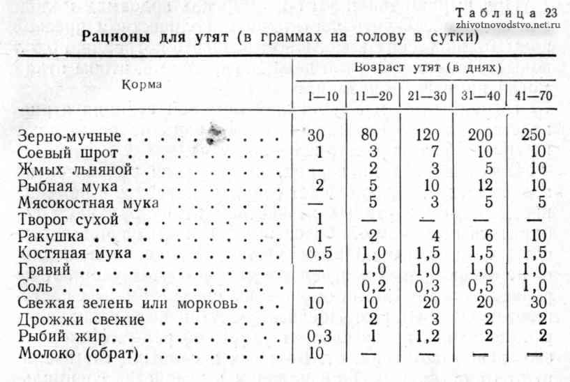 Рационы, применявшиеся при выращивании утят в Загорском птицесовхозе, приводятся в таблице 23